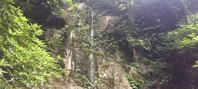 南宝山免费露营耍水,南宝山林海营地有什么耍的