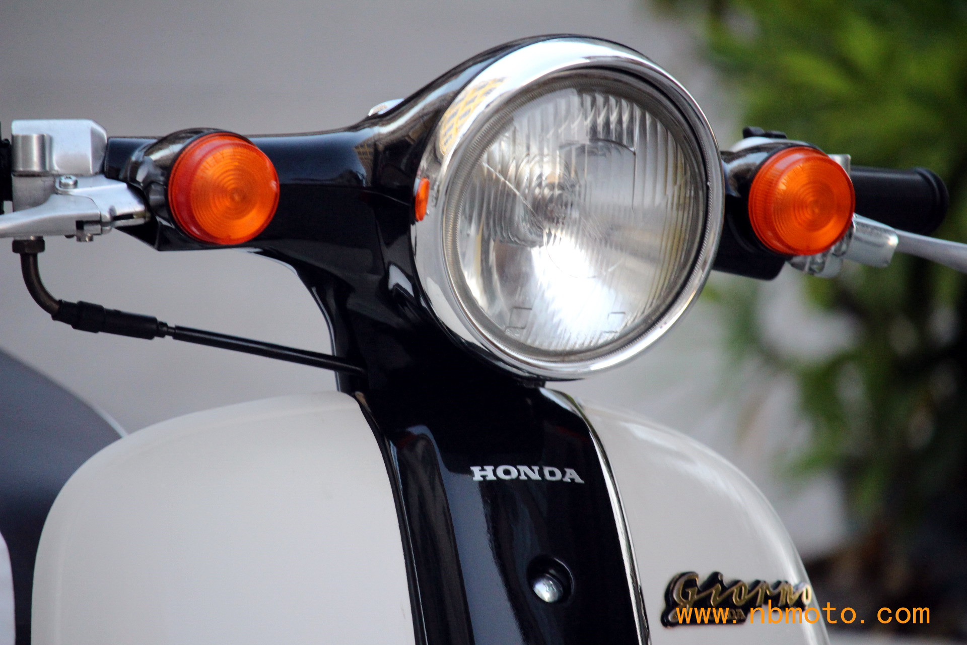 本田复古小龟,进口本田复古小龟50cc