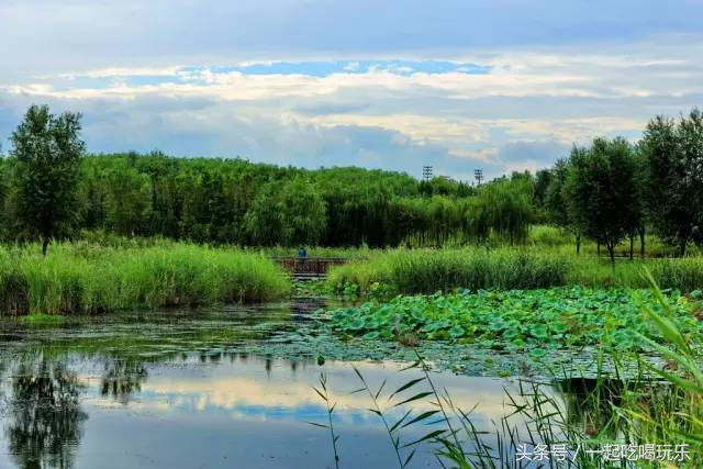 北京十大风景很好的公园,北京市内最大湿地公园打卡攻略