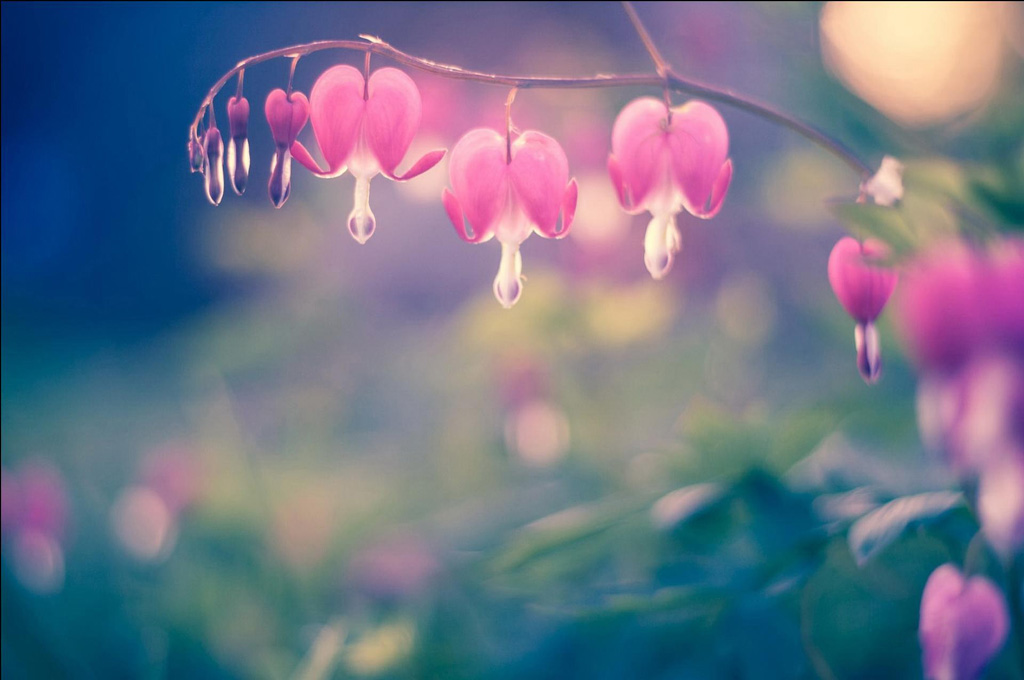 听到周杰伦的歌你会怎样的回忆,听周杰伦的歌想起前任