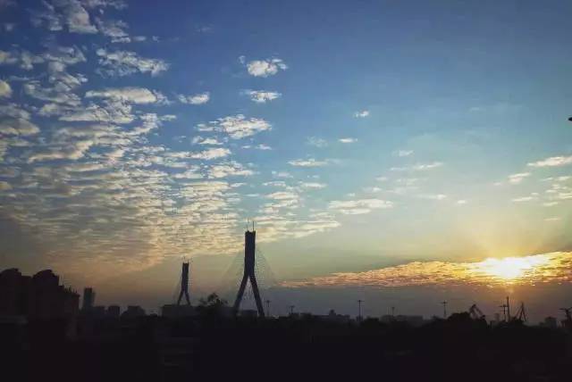 真光学校和真光中学有什么不同,真光中学简介