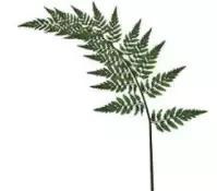 适合所有皮肤使用的一款面膜,去年最火的面膜