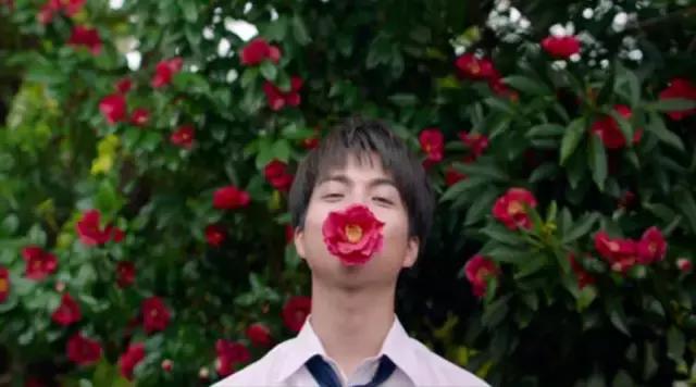 关于那些羞羞涩涩的小动作