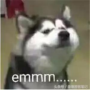 还去香港干嘛？日本都比香港折扣大