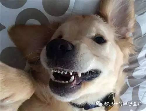 她们说||那些年整牙吞下的血和泪,终于换来最开怀的大笑