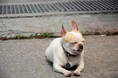 第一次骑山地自行车的感受,第一次骑行的经历