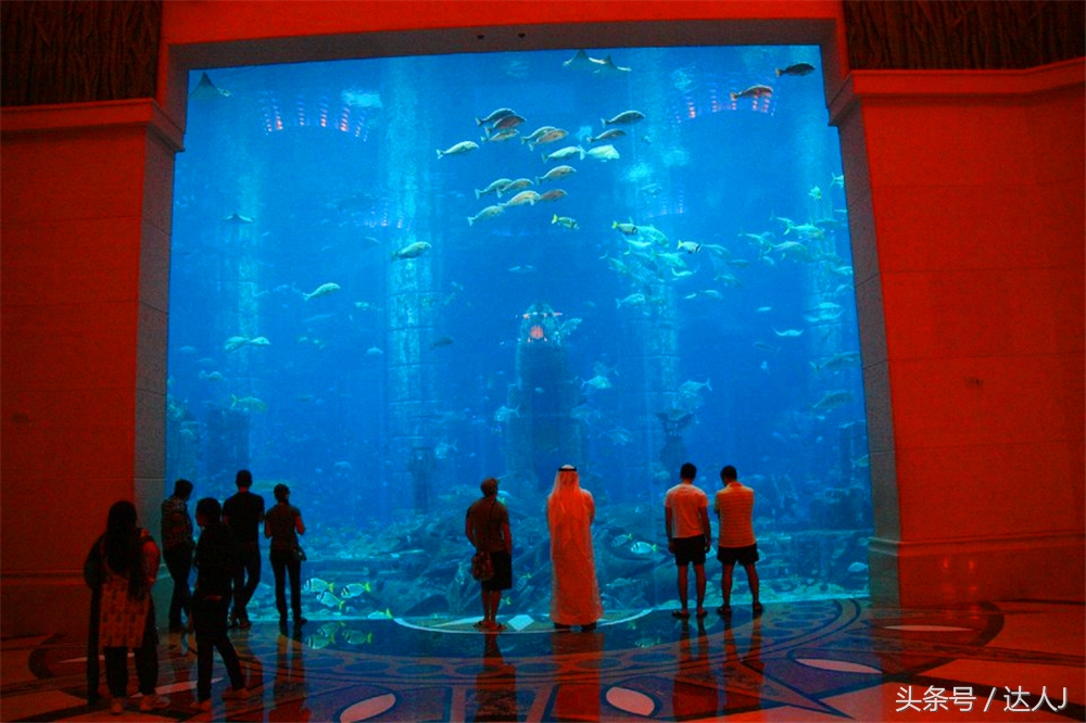 阿联酋滑雪场项目,阿联酋室内滑雪场