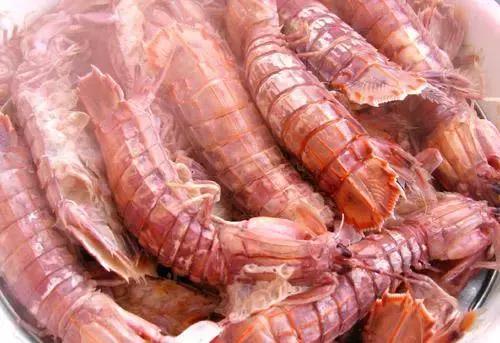 羊口开海！倒计时一天！第一网吃起来！看完哈喇子流一地