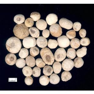 颍上特产可以带走的,颍上特产牛肉酱