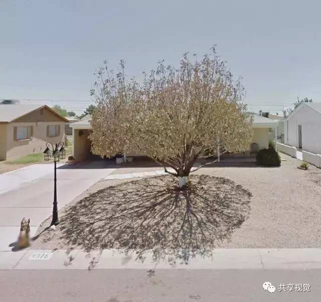 google街景照片怎么拍,谷歌地图摄影作品