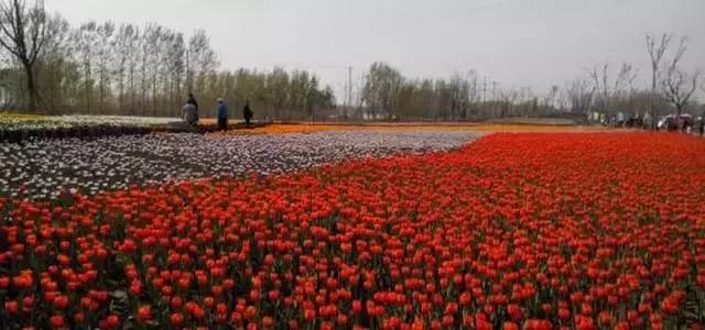 滨州2021评为几线城市,滨州这个地级市是怎么形成的