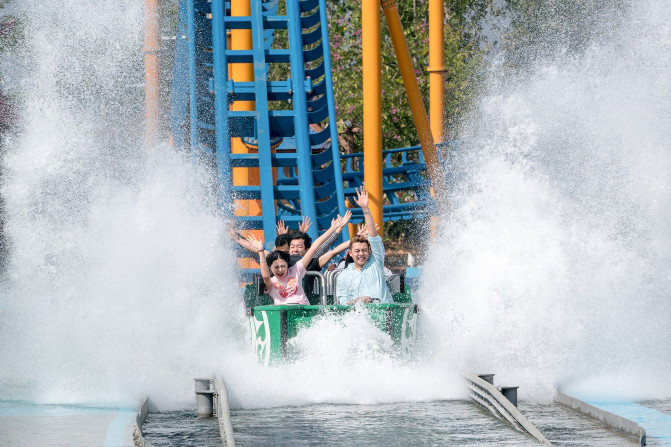 去西双版纳旅游吃住行攻略,去西双版纳旅行自由行攻略