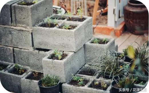 她把2000平方的屋子改造成花园,夫妻花3万改造荒废20年的农村老屋