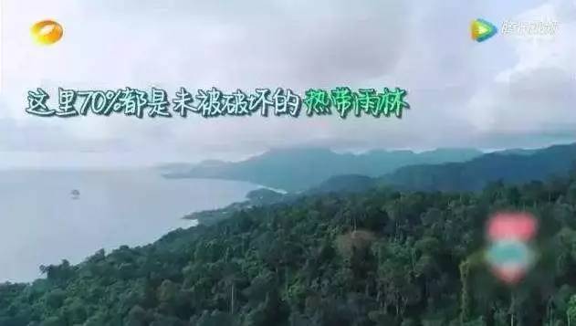 中餐厅节目里的美食,中餐厅第四期同款美食