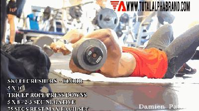 健身新手练胳膊线条,30分钟有氧健身操瘦大肚腩粗手臂