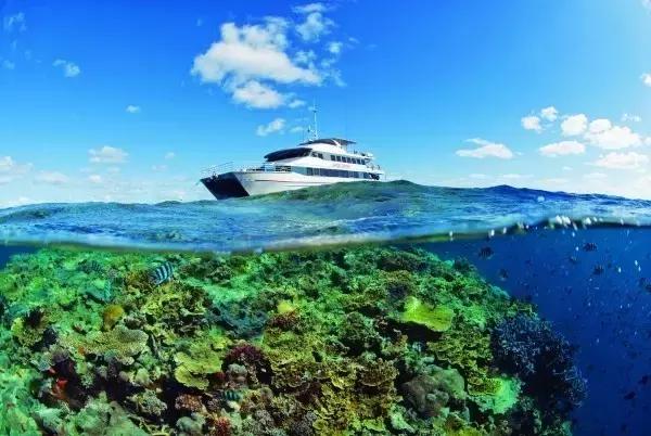 爱上邮轮的十个理由,爱上潜水的理由