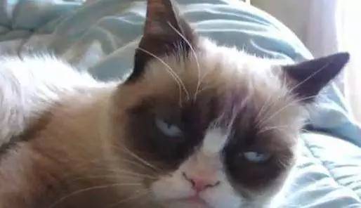 艾特扬州所有人,眼霜用的早,五十岁都不显老!