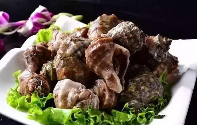 羊口开海！倒计时一天！第一网吃起来！看完哈喇子流一地