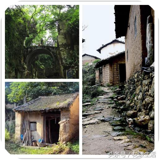 她把2000平方的屋子改造成花园,夫妻花3万改造荒废20年的农村老屋