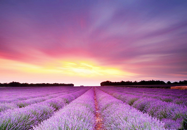 世界上最美的9处户外桑拿房,世界上最美的地方的推荐词