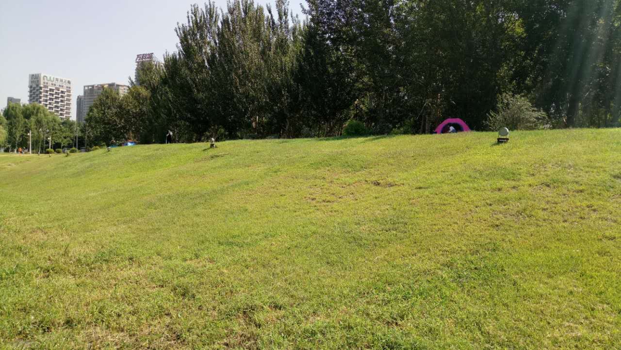 沈阳长白岛森林公园有海吗,游沈阳的长白岛森林公园400字作文