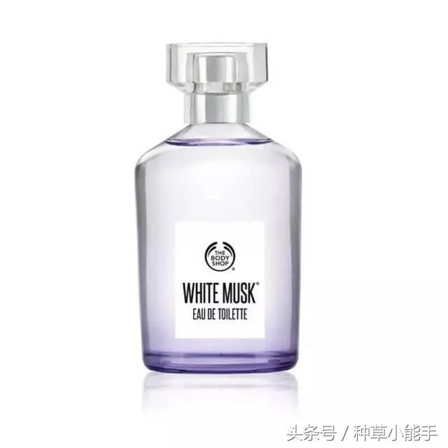 五款好用却便宜的国货香水,适合女生春天使用的香水小众平价