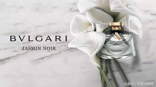 这5款堪比大牌的平价香水,推荐一款非常好用的大牌香水