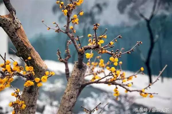 河南二十四节气完整版,二十四节气河南文旅