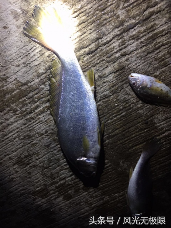 国内未开发适合旅游的岛,未曾旅游开发的岛