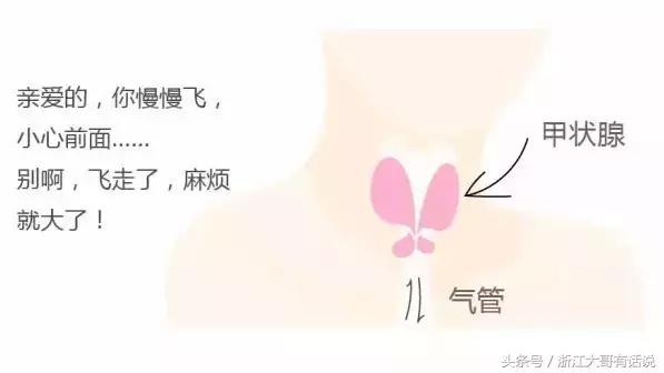 甲状腺结节是什么病,甲状腺结节是什么