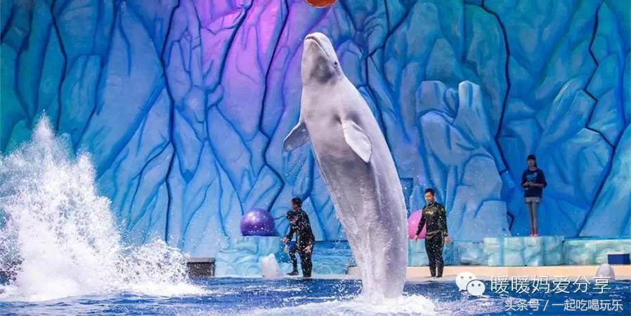 深圳长隆海洋王国攻略,珠海长隆国际海洋王国游玩攻略