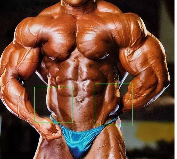 人鱼线马甲线可以同时存在吗,人鱼线马甲线分别是什么样子的