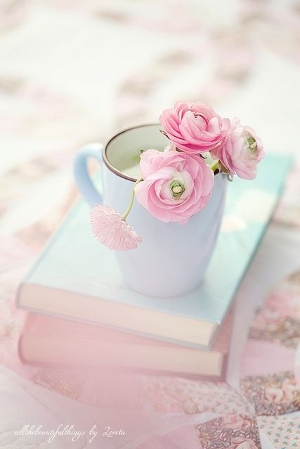 男人到底是一种什么样的动物,男人是什么动物理性还是感性