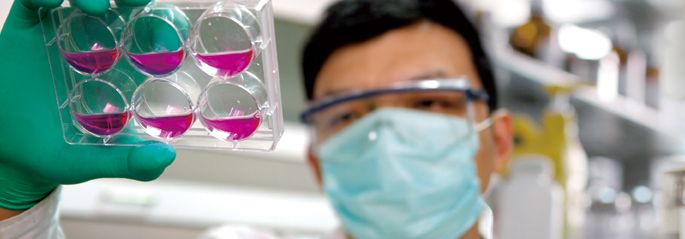 三氧在医疗中的应用,三氧医疗技术