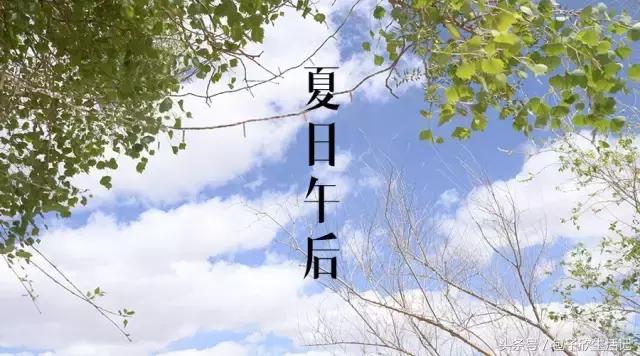 如果你喜欢喝这杯茶,也许我可以请你|奈雪