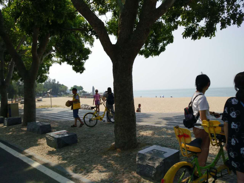 厦门四天三夜旅行攻略,自驾厦门旅游攻略