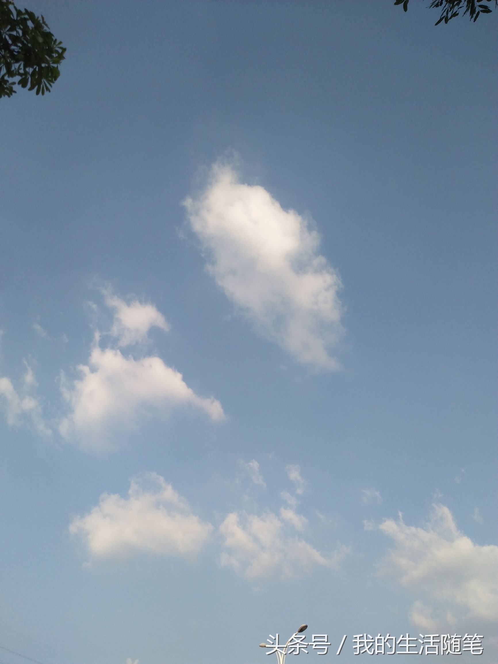 卜算子苏轼寂寞沙洲冷哪年写的,卜算子苏轼寂寞沙洲冷很有名吗