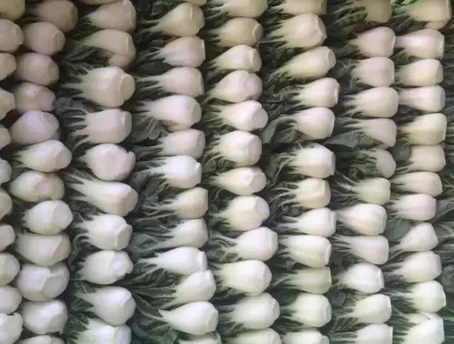 八月菜价大盘点,6成品种上涨带来黄金行情,附广州江南0901菜价