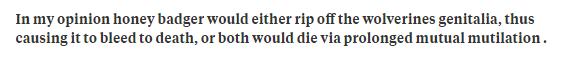 狼獾vs平头哥vs黄鼠狼,平头哥都怕的狼獾有多凶