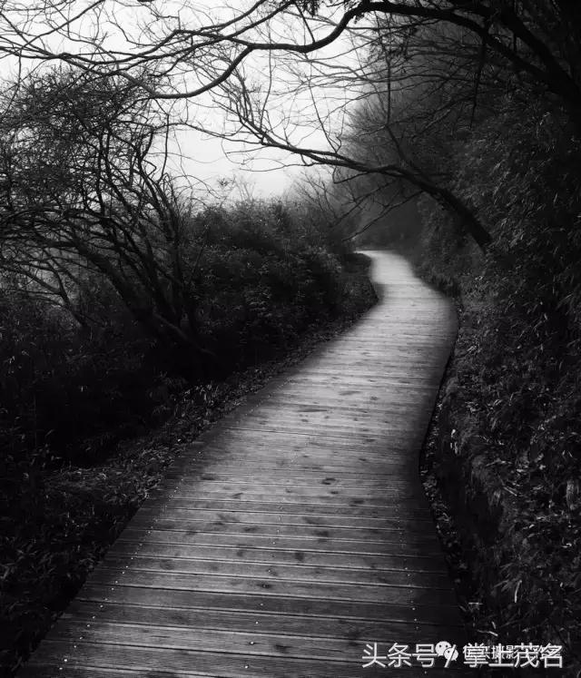 手机摄影田园生活图片,手机摄影主题