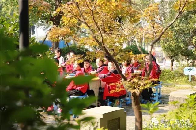 衢州总共有哪几所实验小学,衢州哪些小学初中学校比较好