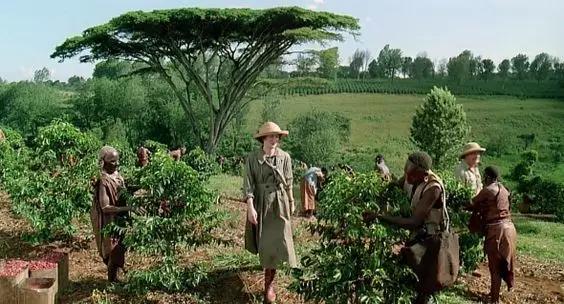 一口咖啡,一幕人生:细品经典电影里的「甘甜苦涩」