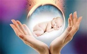 人工授精遭罪还是试管婴儿遭罪,试管婴儿的全部流程图解大全