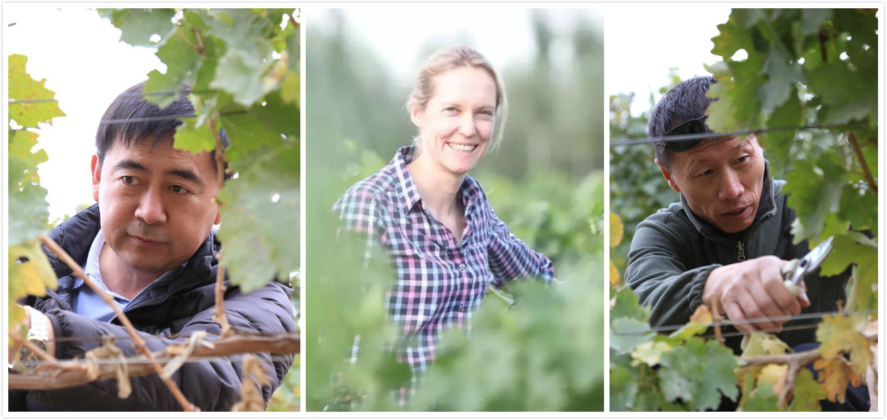 在中国建私人庄园合法吗,中国建一个葡萄酒庄园