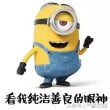 气象说丨初秋小毛病,有它不用药