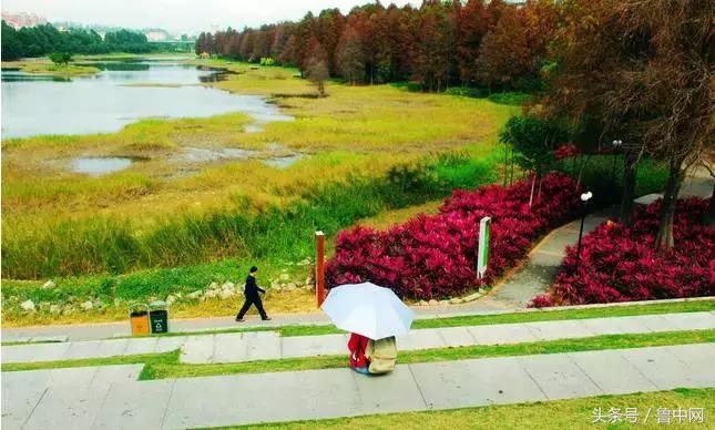 为什么要定居,为什么定居淄博