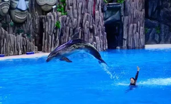 珠海长隆横琴酒店到海洋王国,珠海横琴长隆海洋王国门票价格