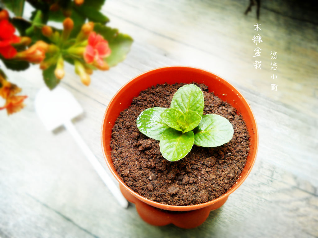 奥利奥吃法大全,高逼格的奥利奥吃法