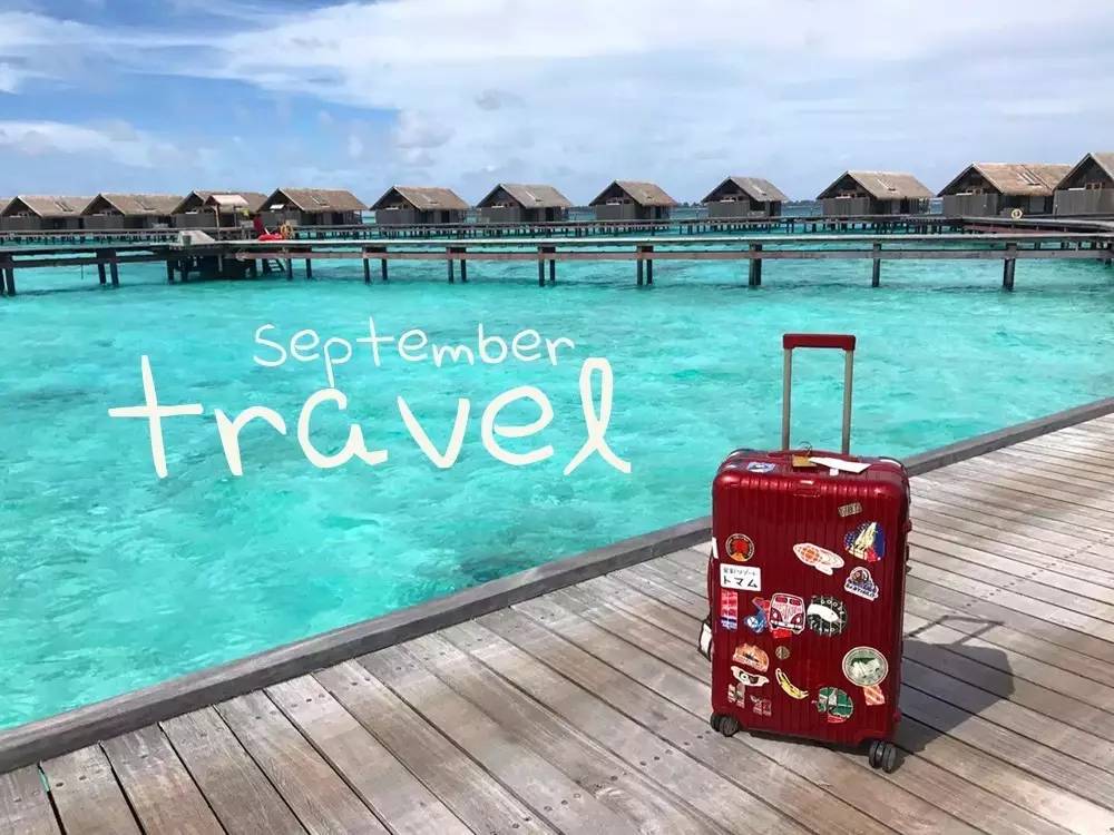 玩物不丧志视频,玩物不丧志珠宝