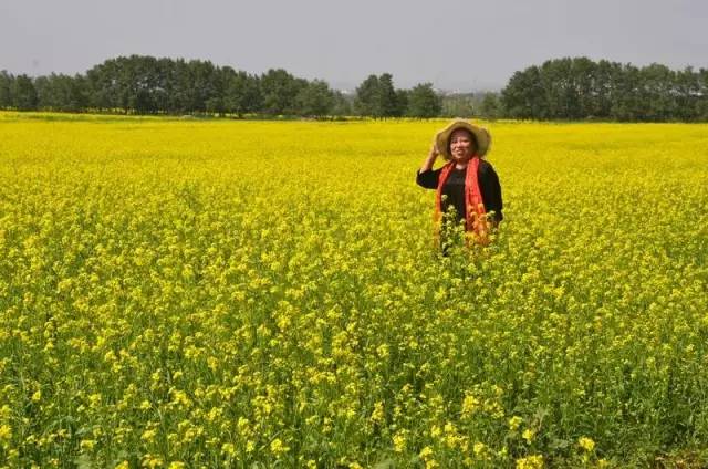 老爷子陪老伴穷游,带着老伴穷游